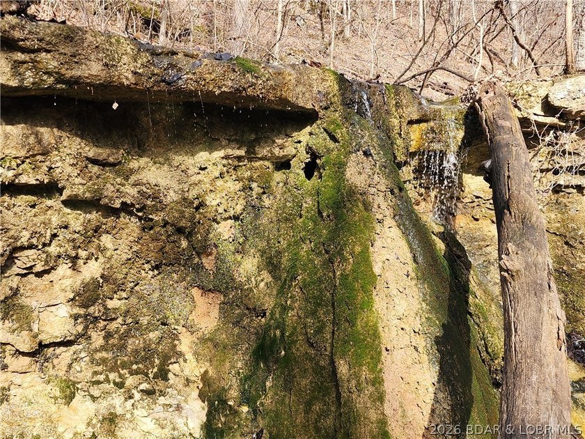 This scenic property features high ridges with incredible views - photo 24