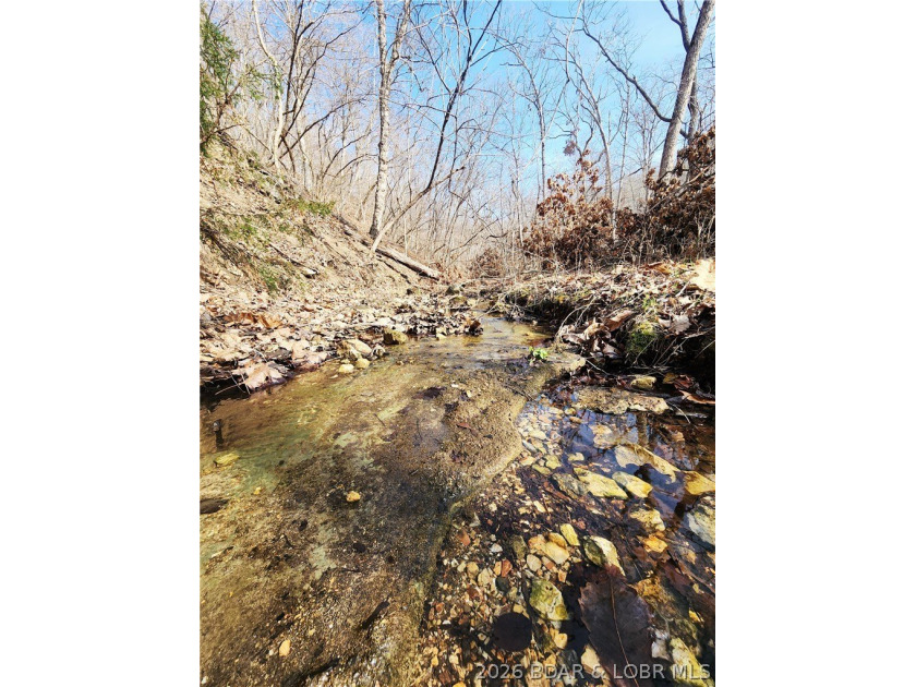 This scenic property features high ridges with incredible views - photo 28