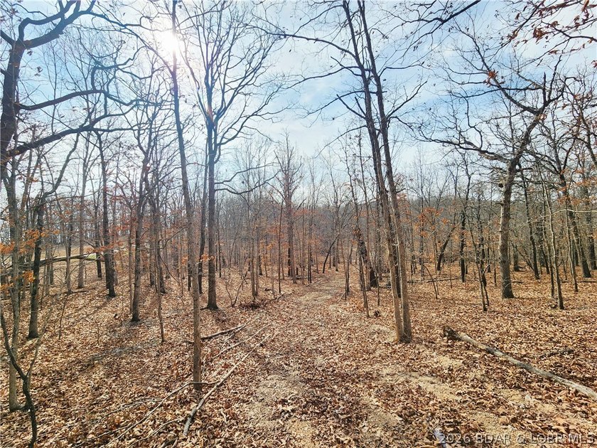 This scenic property features high ridges with incredible views - photo 31