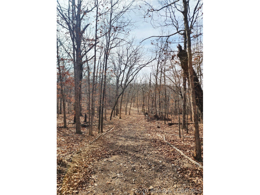 This scenic property features high ridges with incredible views - photo 32