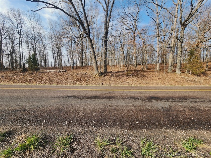 This scenic property features high ridges with incredible views - photo 12