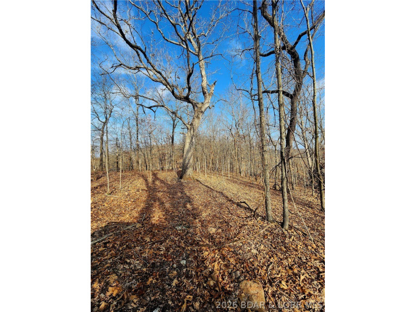 This scenic property features high ridges with incredible views - photo 16