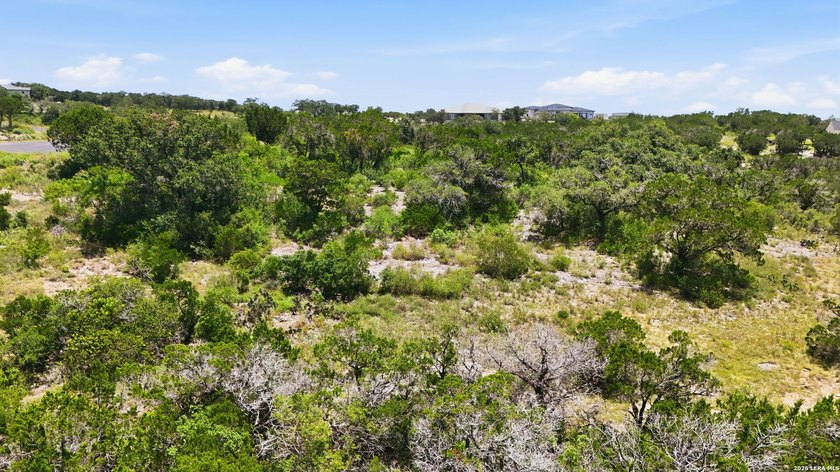 Build Your Dream Home in the Heart of the Texas Hill Country! - photo 18