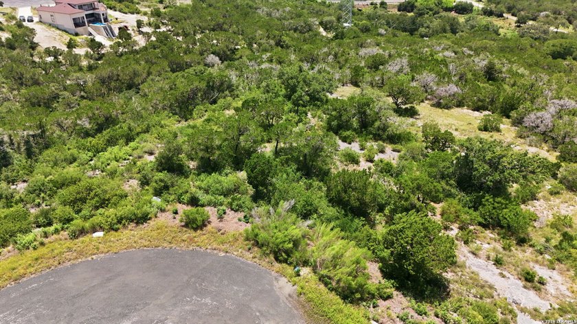 Build Your Dream Home in the Heart of the Texas Hill Country! - photo 38