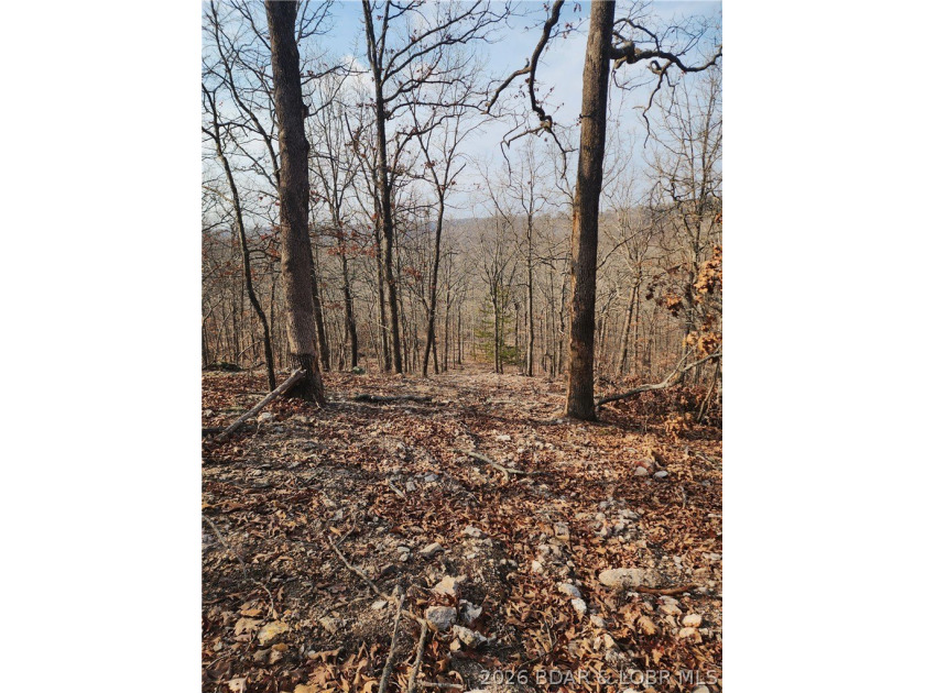 This scenic property features high ridges with incredible views - photo 22