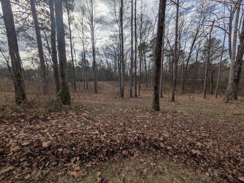 STUNNING PRIVATE ESTATE ON 10 ACRES IN MOOREVILLE SCHOOL - photo 22