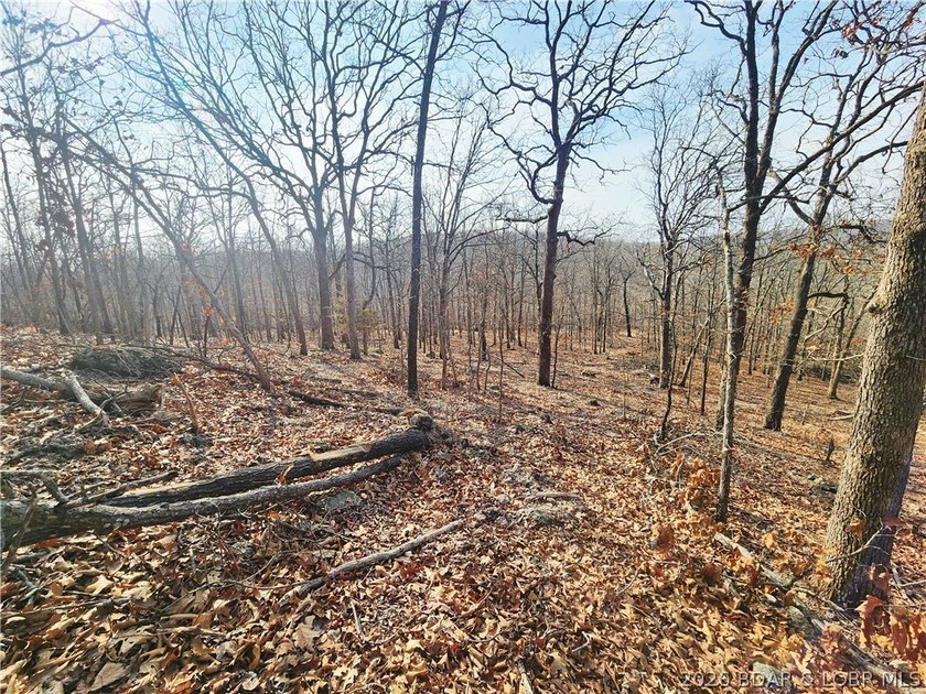 This scenic property features high ridges with incredible views - photo 23