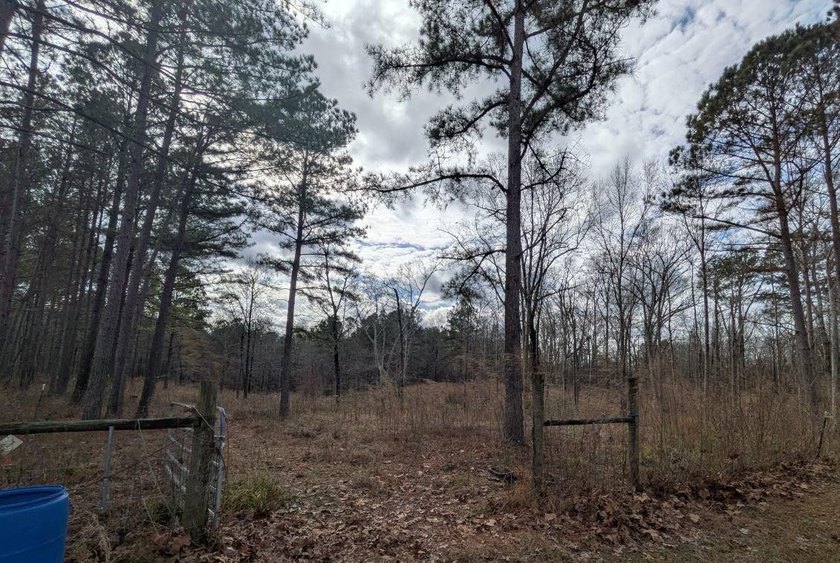 STUNNING PRIVATE ESTATE ON 10 ACRES IN MOOREVILLE SCHOOL - photo 23