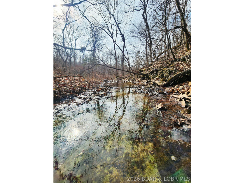 This scenic property features high ridges with incredible views - photo 29