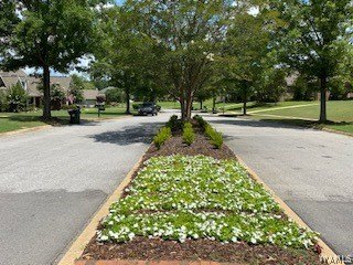 What a great lot to build your dream home!!! I think you'll love - photo 5