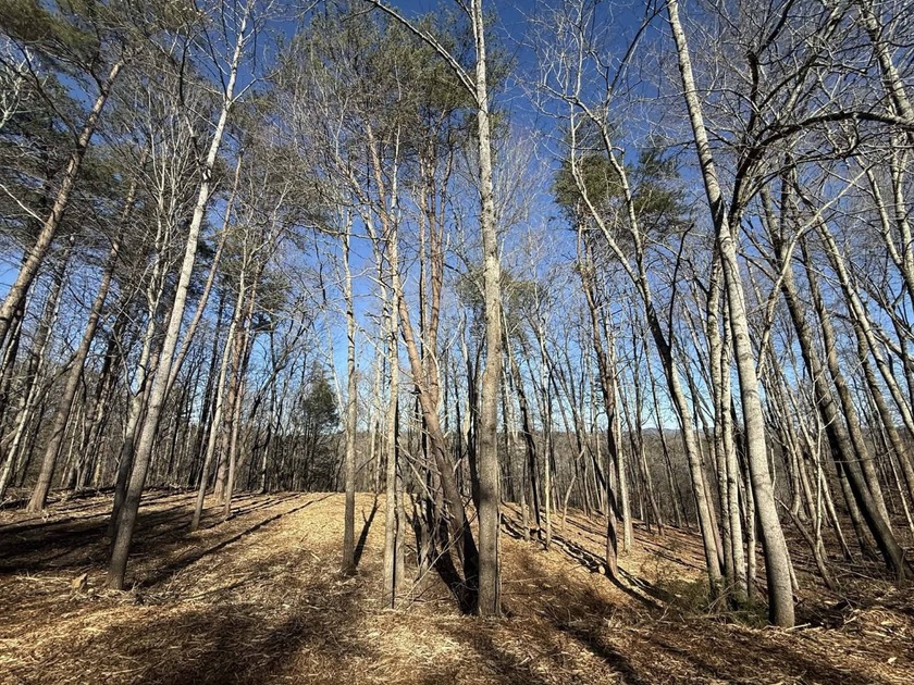 Discover your aviation dreams on this stunning 0.50+/- acre - photo 4