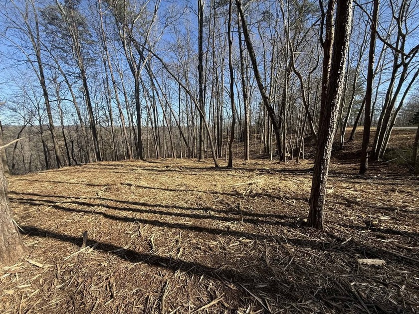Discover your aviation dreams on this stunning 0.50+/- acre - photo 6