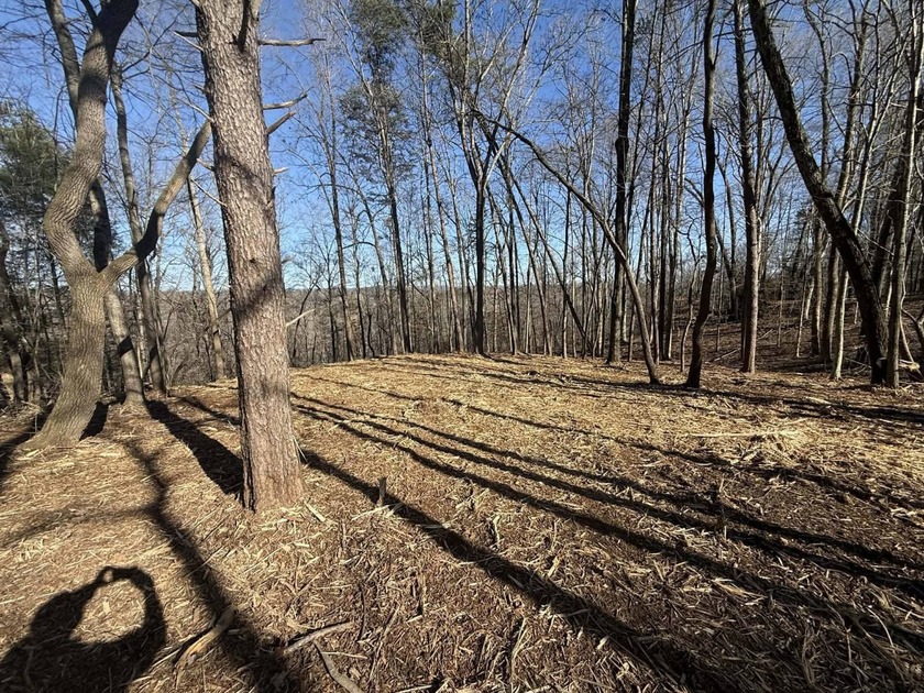 Discover your aviation dreams on this stunning 0.50+/- acre - photo 7