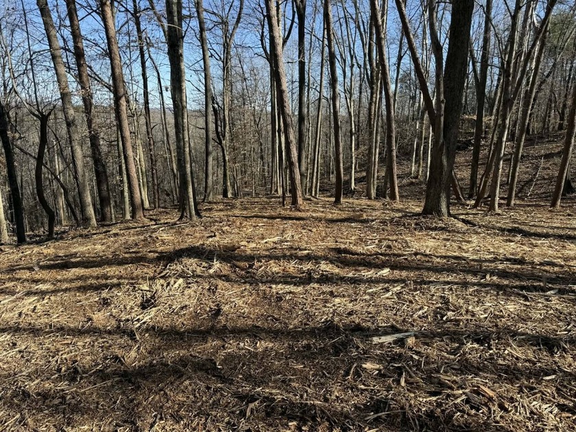 Discover your aviation dreams on this stunning 0.50+/- acre - photo 8