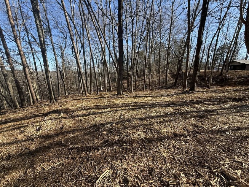 Discover your aviation dreams on this stunning 0.50+/- acre - photo 9