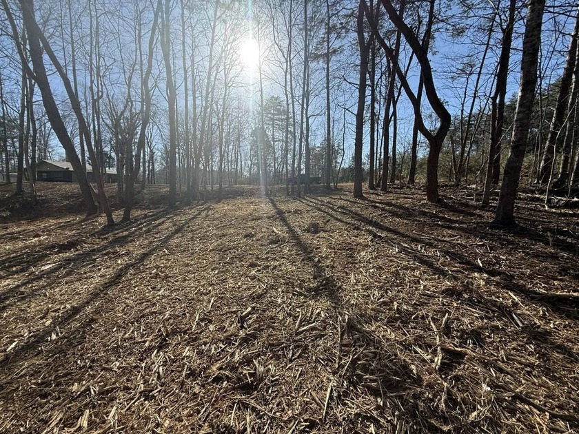 Discover your aviation dreams on this stunning 0.50+/- acre - photo 10