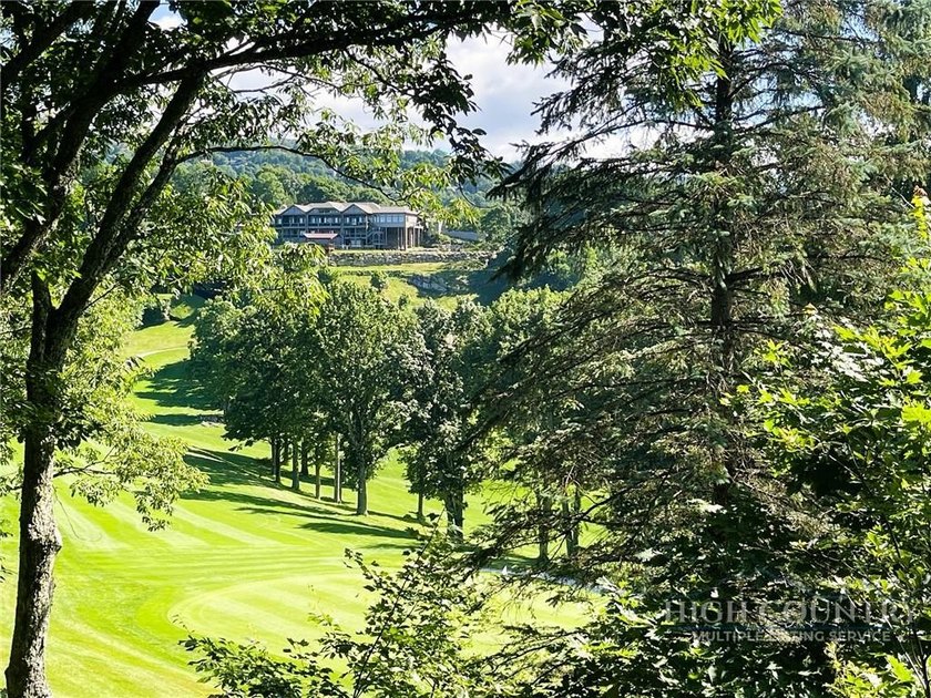 Welcome to Castle Hill - a truly one-of-a-kind mountain retreat - photo 4