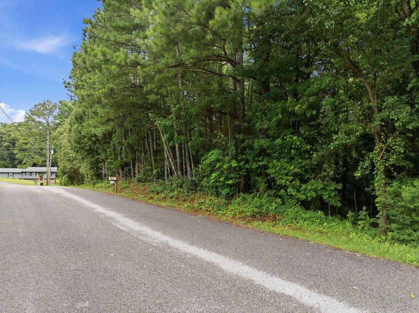 Build Your Dream Home on Lot 25 Troy Drive - Pine Henge - photo 10