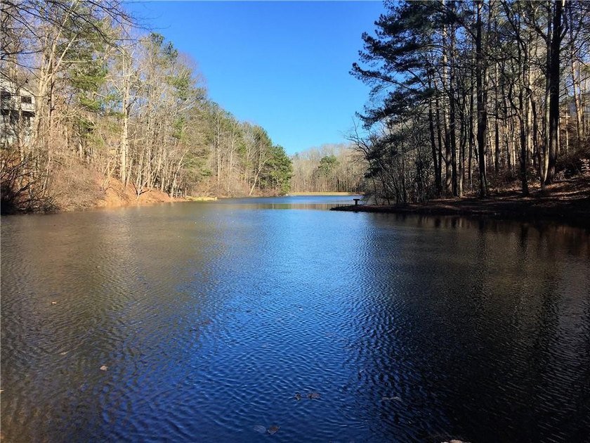 Lake lot. Cul-de-sac. Privacy. Chimney Lakes. One of the larger - photo 46