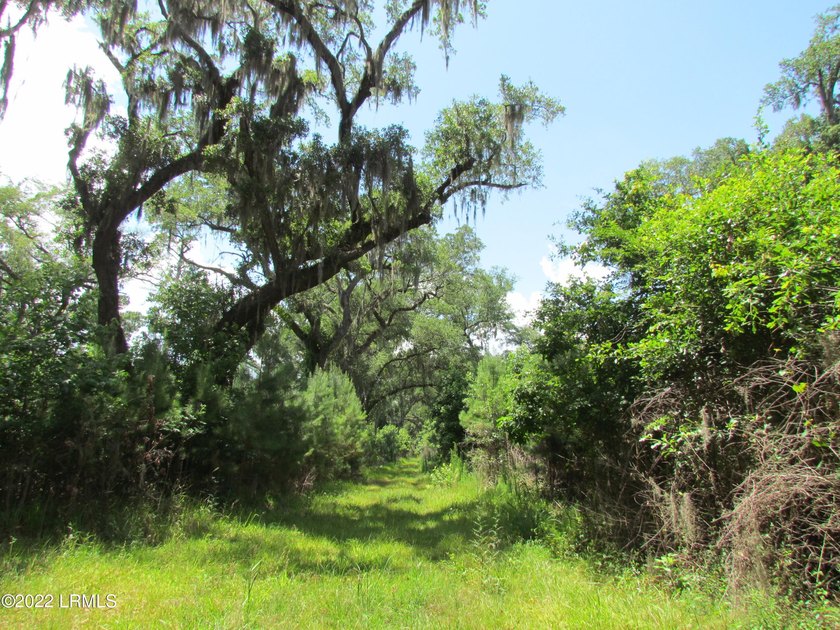 Seabrook Farm which consists of 318+- acres of open fields and - photo 11