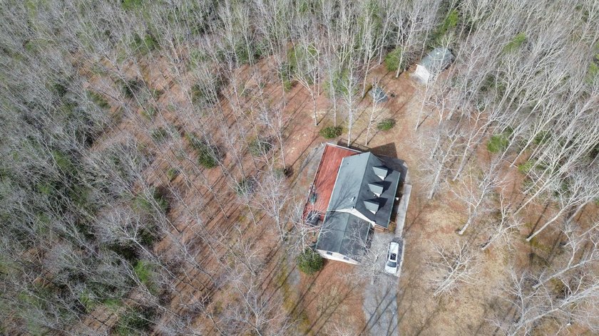 20 acres of privacy in the heart of Pocahontas County's most - photo 12