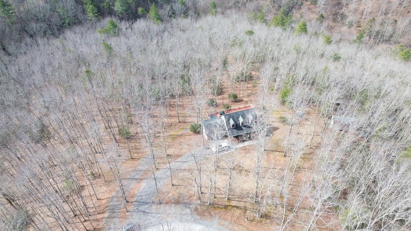 20 acres of privacy in the heart of Pocahontas County's most - photo 13