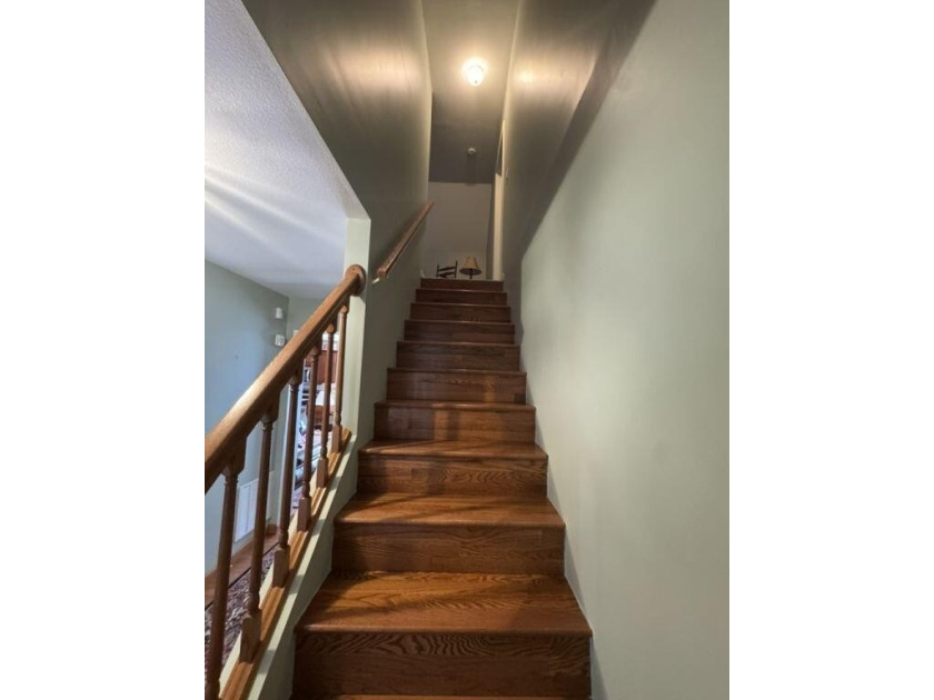 20 acres of privacy in the heart of Pocahontas County's most - photo 22