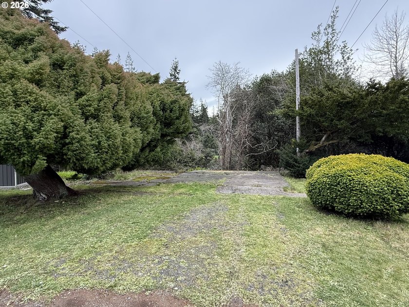 END OF ROAD PRIVACY!! Charming 3 bedroom 1 1/2 bath home located - photo 22