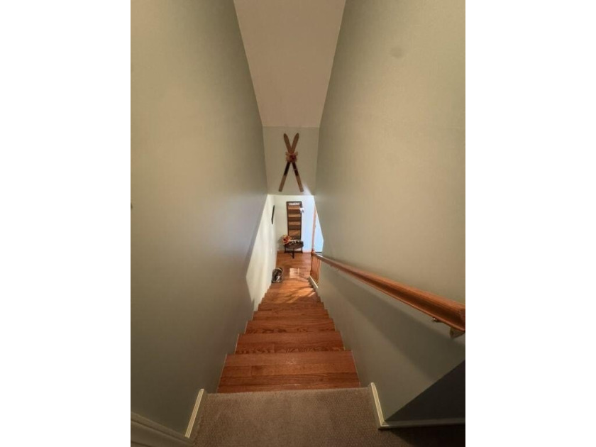 20 acres of privacy in the heart of Pocahontas County's most - photo 23
