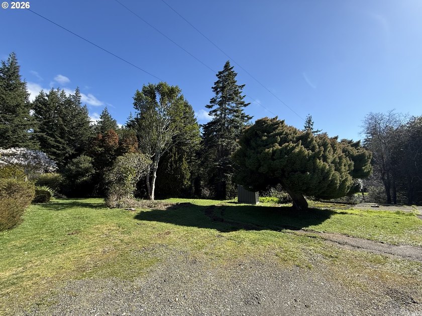 END OF ROAD PRIVACY!! Charming 3 bedroom 1 1/2 bath home located - photo 25