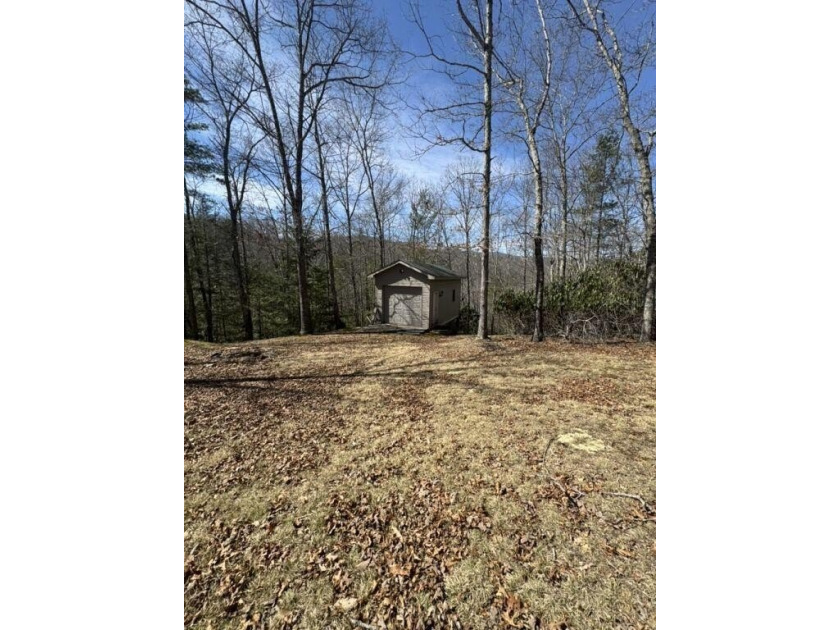 20 acres of privacy in the heart of Pocahontas County's most - photo 41