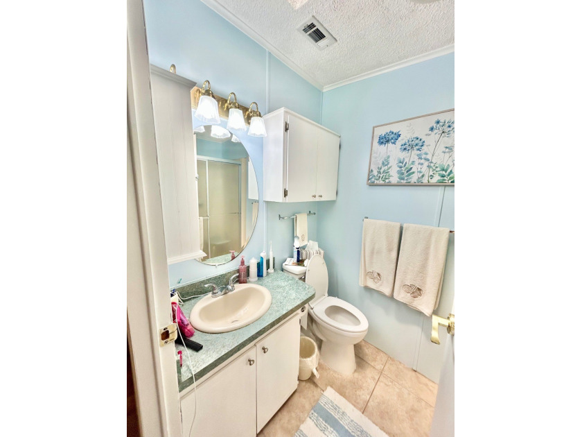 Beautiful home in Reflections on Silver Lake in Avon Park - photo 13