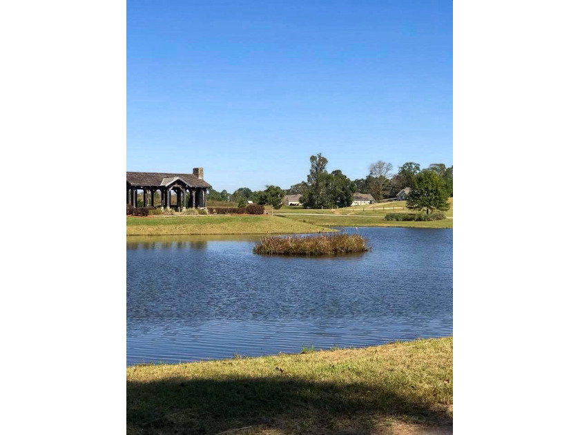 Builder Ready Lots in the Willow Walk Subdivision. Enjoy all the - photo 11