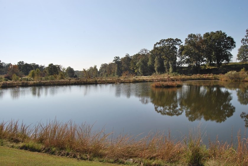 Builder Ready Lots in the Willow Walk Subdivision. Enjoy all the - photo 12