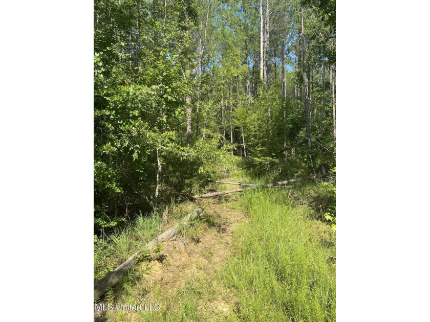 Turnkey hunting properties with this level of infrastructure - photo 13