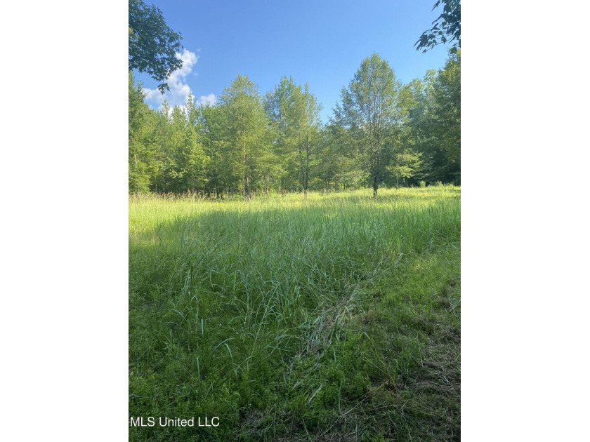 Turnkey hunting properties with this level of infrastructure - photo 17