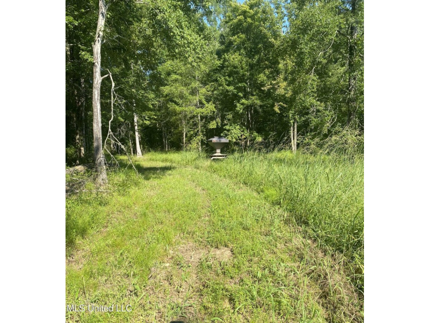 Turnkey hunting properties with this level of infrastructure - photo 18