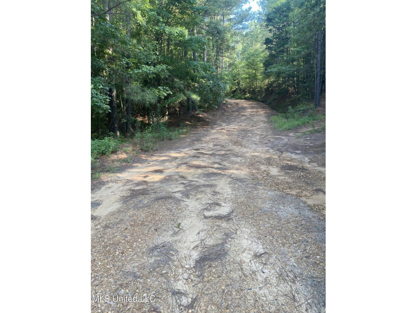 Turnkey hunting properties with this level of infrastructure - photo 33