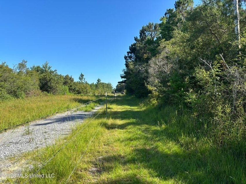This 30-acre tract in Harrison County, Mississippi, represents a - photo 8
