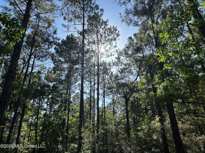 This 30-acre tract in Harrison County, Mississippi, represents a - photo 9