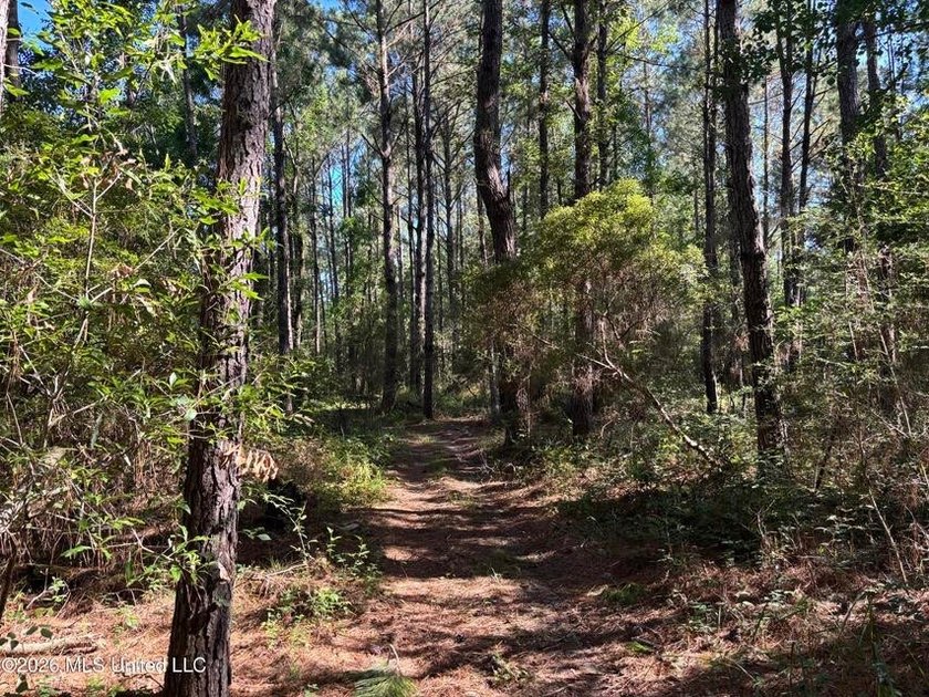 This 30-acre tract in Harrison County, Mississippi, represents a - photo 10