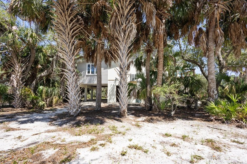 Tucked away on a private waterfront peninsula in historic Cedar - photo 34
