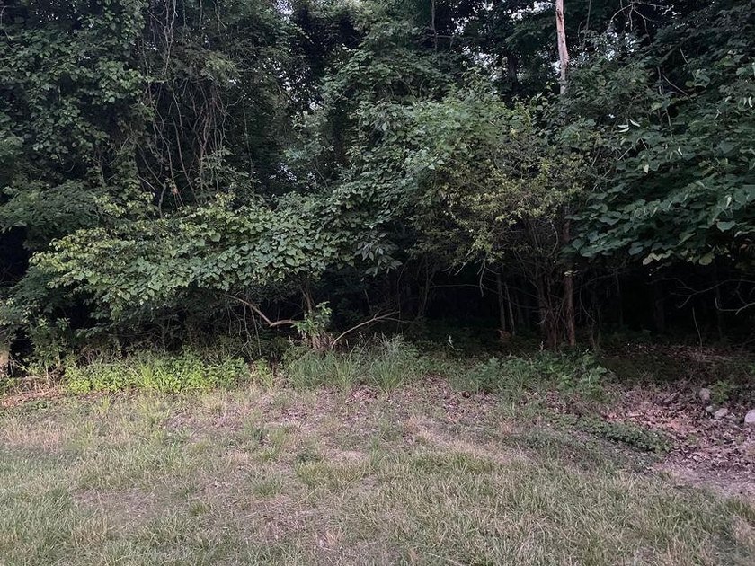 3 individual Lots for sale as a bundle, ideal for a builder or - photo 22