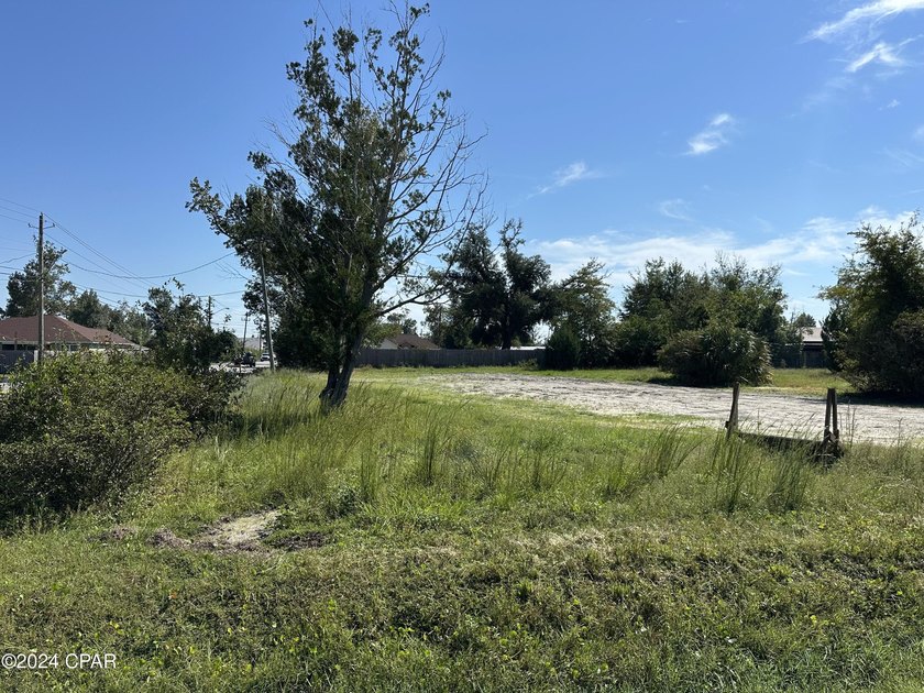 This large 75x150 lot is conveniently located in the heart of - photo 3