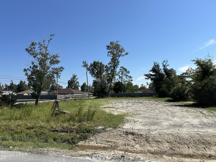 This large 75x150 lot is conveniently located in the heart of - photo 4