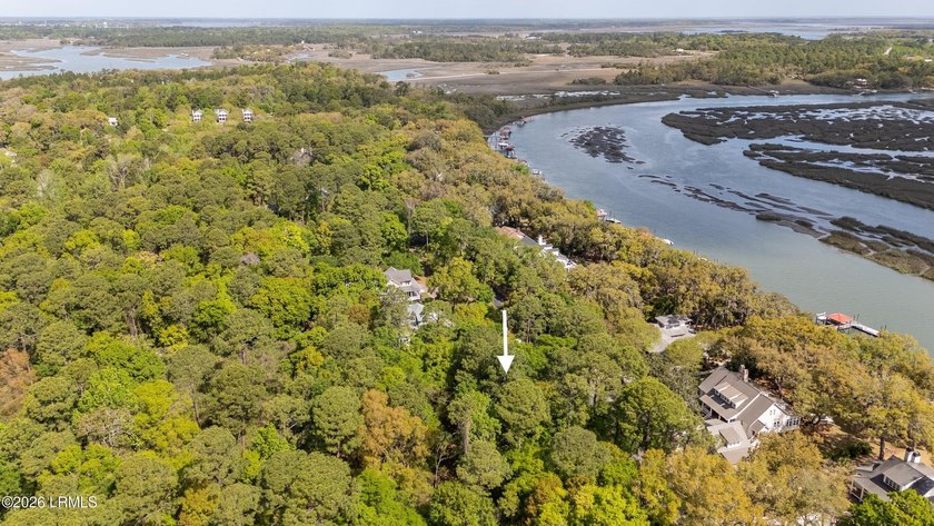 Exceptional interior homesite in Distant Island -- a - photo 11