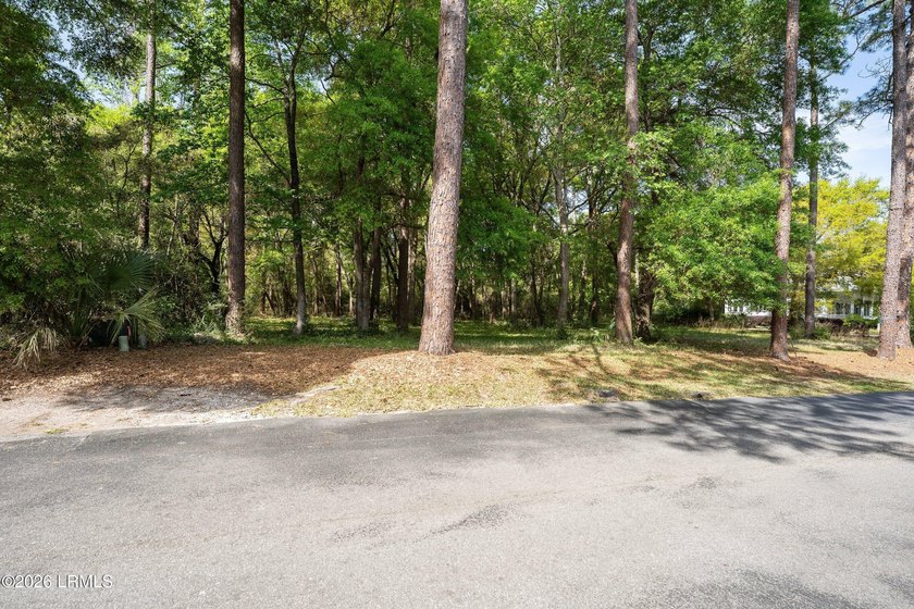 Exceptional interior homesite in Distant Island -- a - photo 28