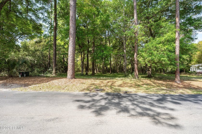 Exceptional interior homesite in Distant Island -- a - photo 29