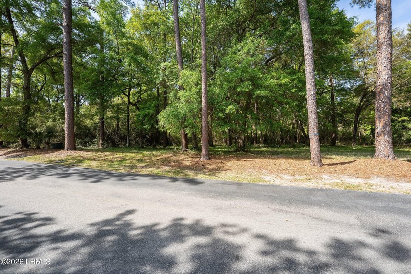 Exceptional interior homesite in Distant Island -- a - photo 30