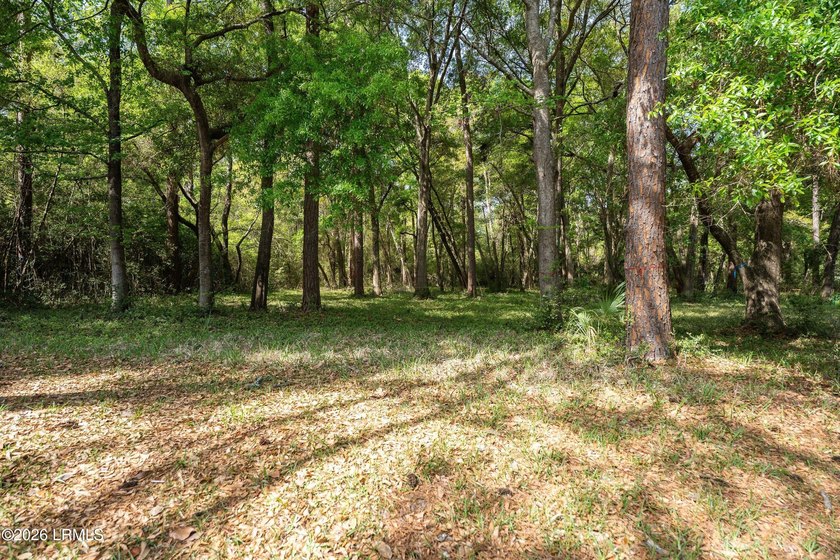 Exceptional interior homesite in Distant Island -- a - photo 31